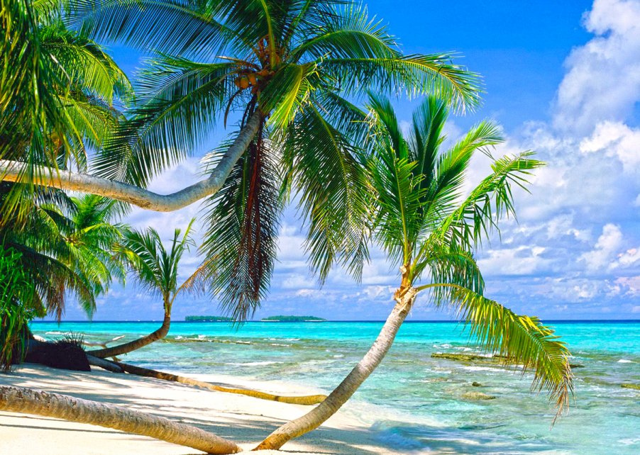 Пальмы на Тувалу